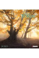 Календар 2020 - Deep Forest 